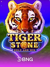 Tiger Stone